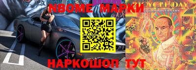 шишки Заволжье