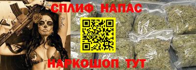 молекула духа Жуковский