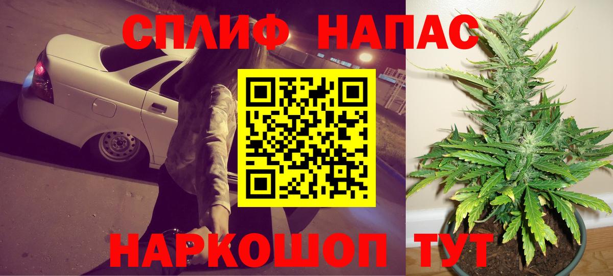 Бошки Шишки ГИДРОПОН Саров